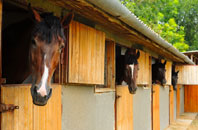 free Llanbabo stable construction quotes